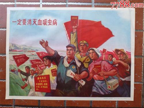 邢台高中毕业证图片